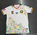 Cameroon Jersey last edition